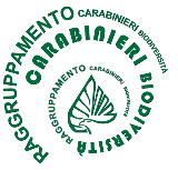 Incontro con i Carabinieri per la Tutela della Biodiversità e dei Parchi